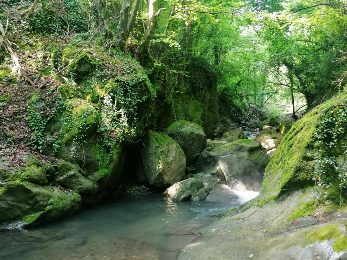 Les Pedres Villa Camprodon Buitenkant foto