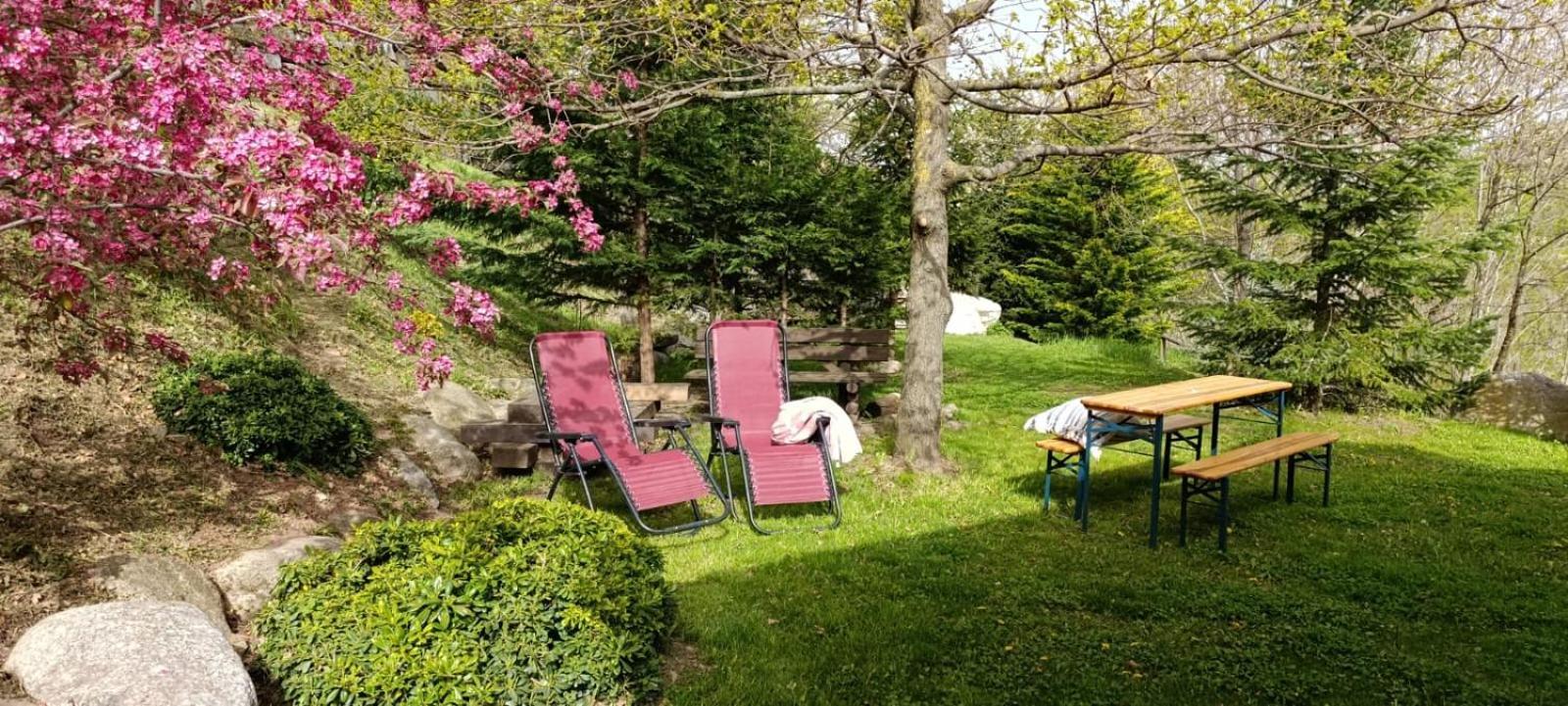 Les Pedres Villa Camprodon Buitenkant foto